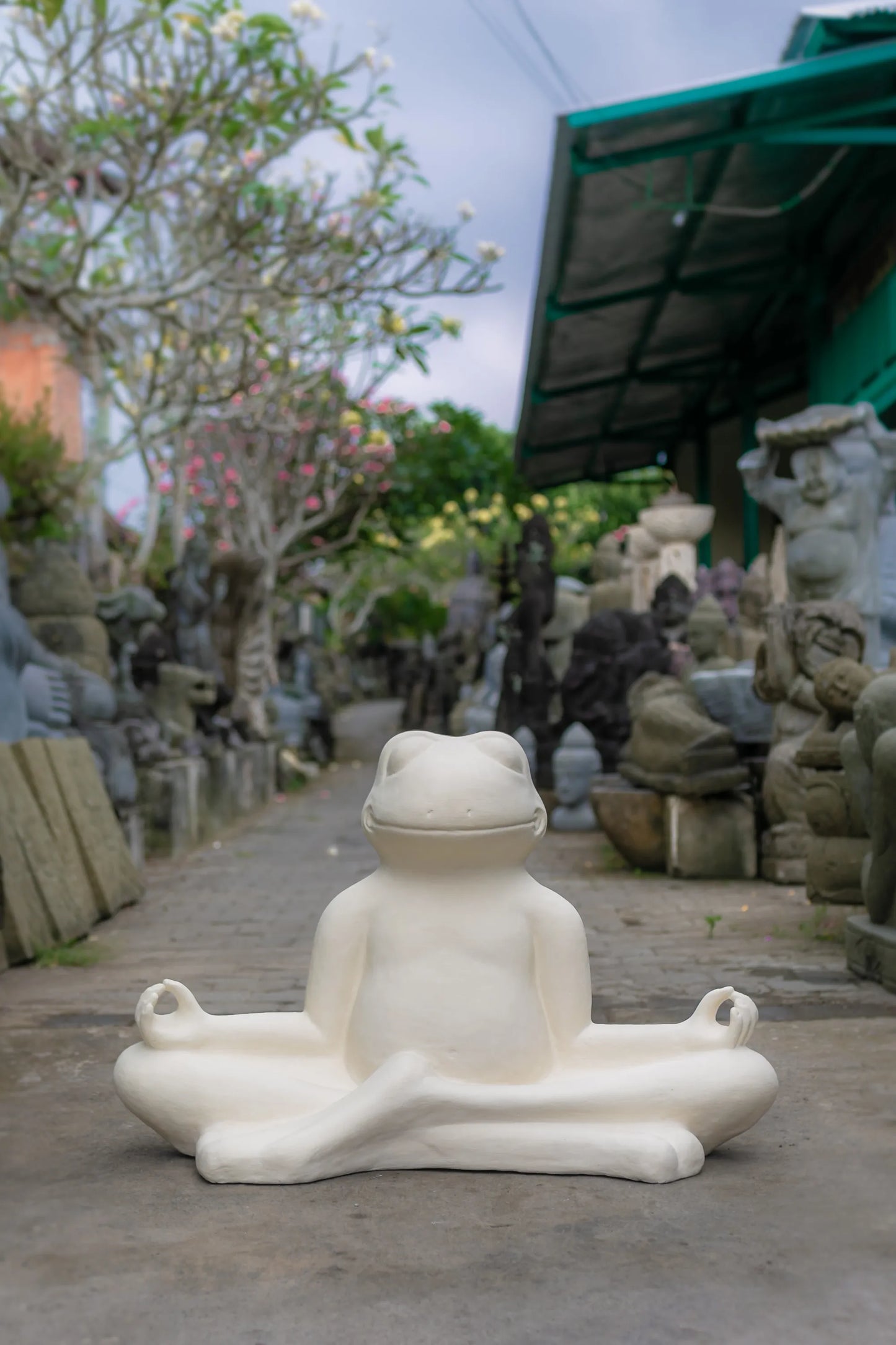 Meditating Frog - Large