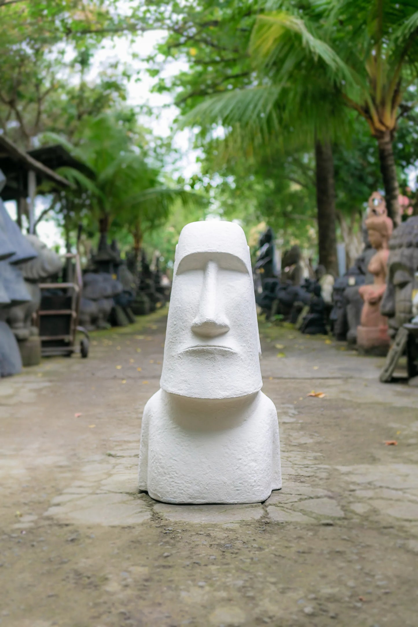 Buy the best Moai Easter Island Head statue in white, measuring 2 feet 3 inches in length, 1 foot 8 inches in width, and 5 feet in height. Made of durable concrete and fiber for outdoor use.